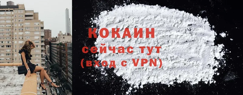 COCAIN Fish Scale  блэк спрут сайт  Копейск 